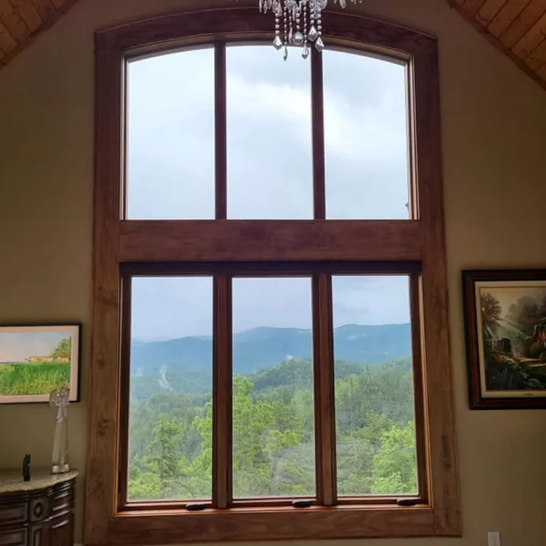 Large, arched living room window with a natural wood frame and subtle tinting, offering a clear view of green forest and blue mountains under an overcast sky.